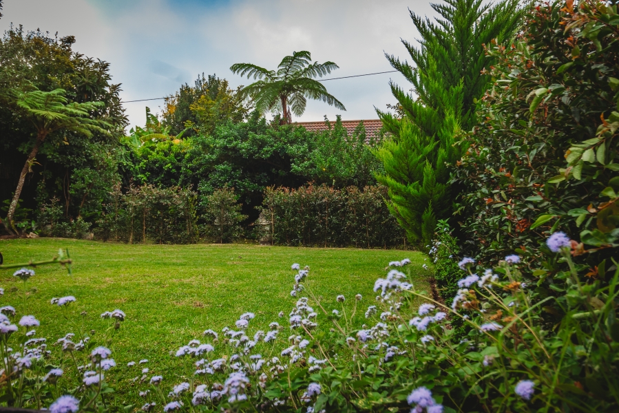 4 Bedroom Property for Sale in Eden Western Cape